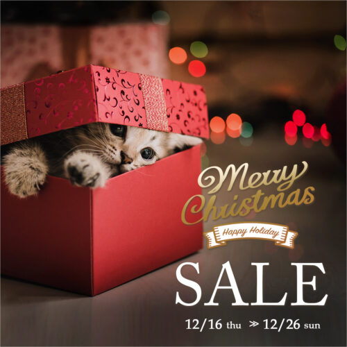 クリスマスセール開催中