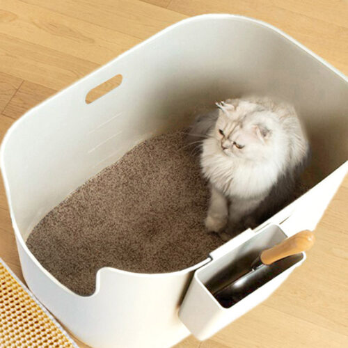 今年最初の新商品の紹介