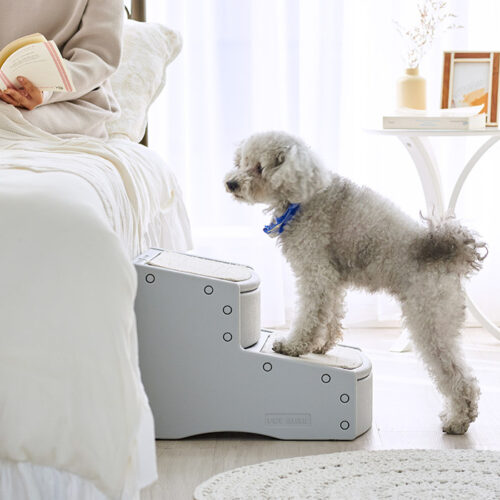 「PG Easy Step (2 Standard/2 Large/3)」が発売されました。