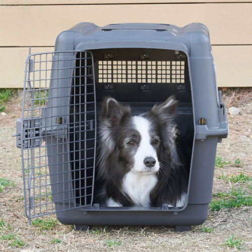 「ペットケンネル・ファーストクラス ブラックエディション L70/80/90/100」が発売されました。