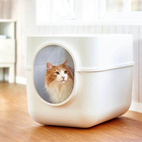 セレブな愛猫にギガトレーがぴったり