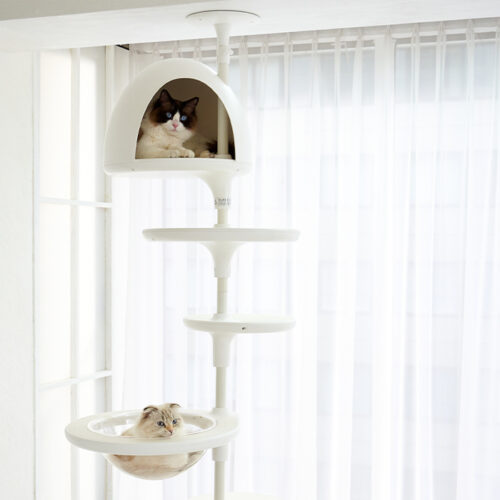 ホワイトポールの発売