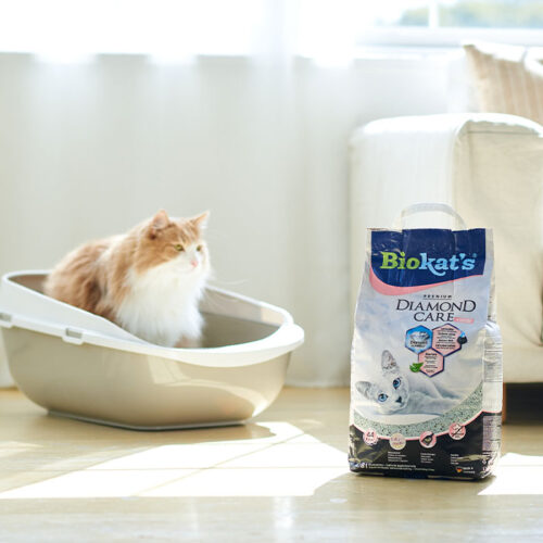 「BIOKAT'S ダイヤモンドケア フレッシュ(8kg)」が発売されました。