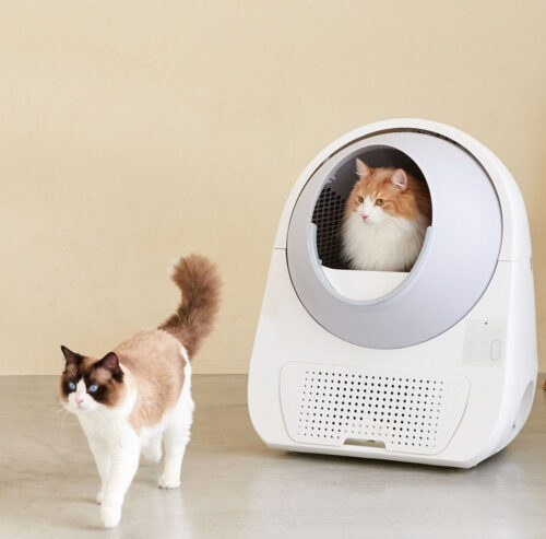 Catkinkメーカーとのビデオ会議