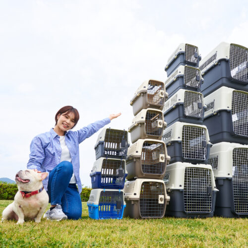 ペットケンネル・ファーストクラス勢揃いロケ撮影