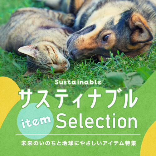 サスティナブルSelectionキャンペーン