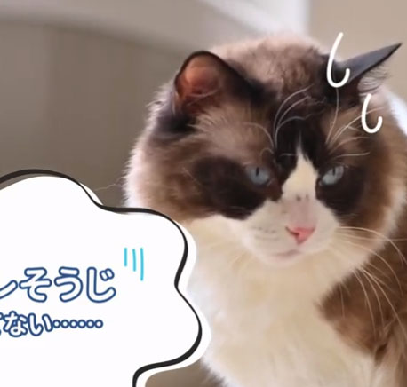 ぼくが自動ネコトイレに出会った日