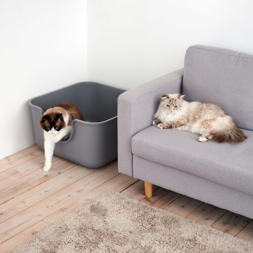 「TALL WALL BOX-スクエア」が発売されました。