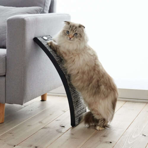 「どこでも立てかけスクラッチ＆アーチ」が発売されました。