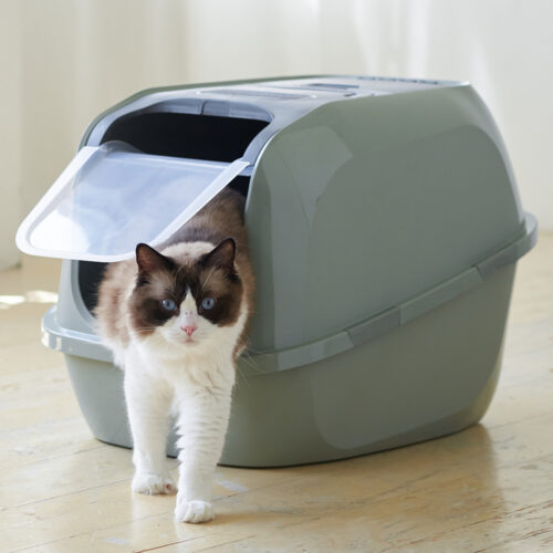 「メガデラックス」と「専用替えライナー」が発売されました。