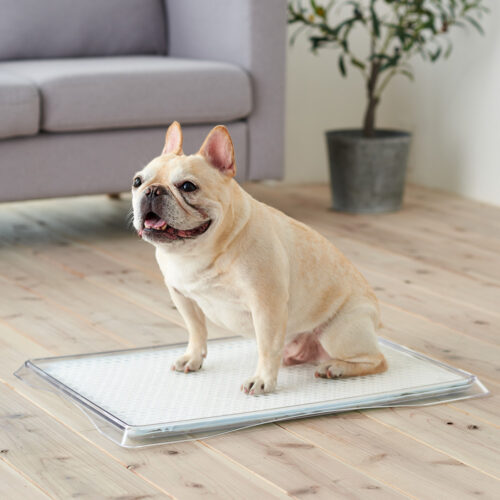 クリアレットクーペ（M） ワイドシーツサイズ