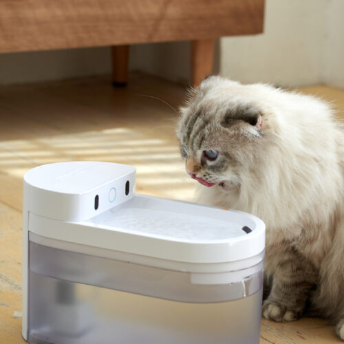 「 CATLINK ワイヤレスファウンテン」が発売されました。