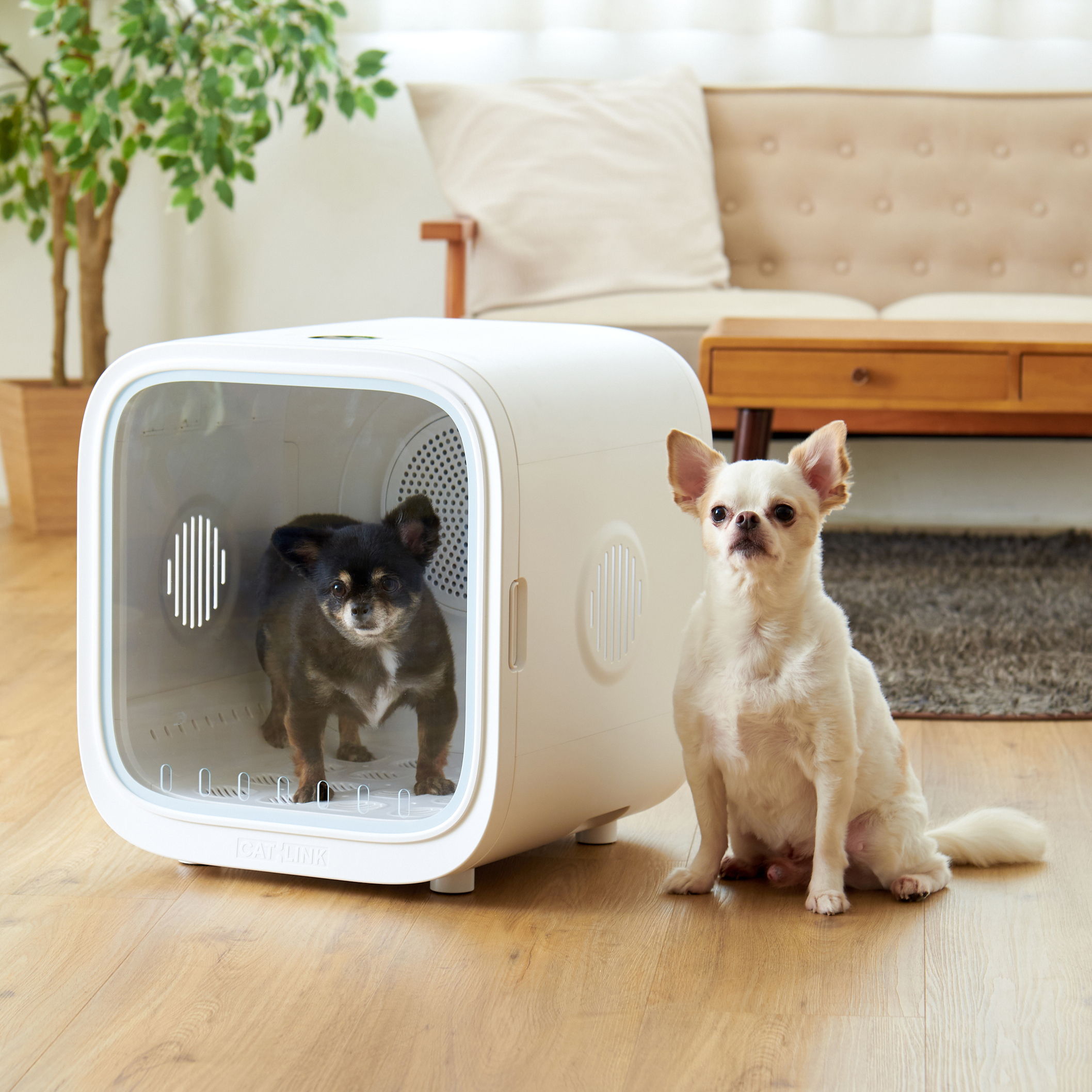 CATLINK スマートペットドライヤーボックス」が発売されました