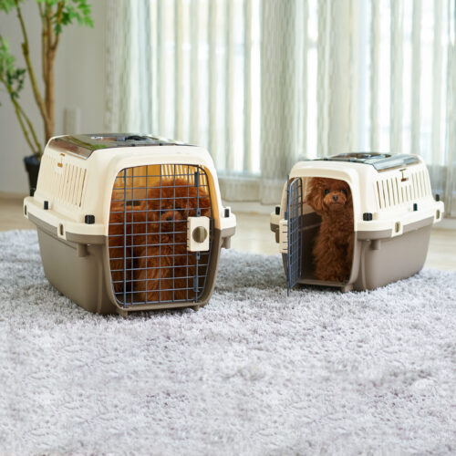 Picky'sに「 ペットケンネル ファーストクラス」が紹介されました