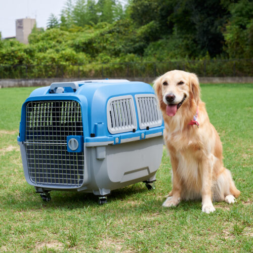 「ペットケンネルファーストクラス」の新商品が発売されました。