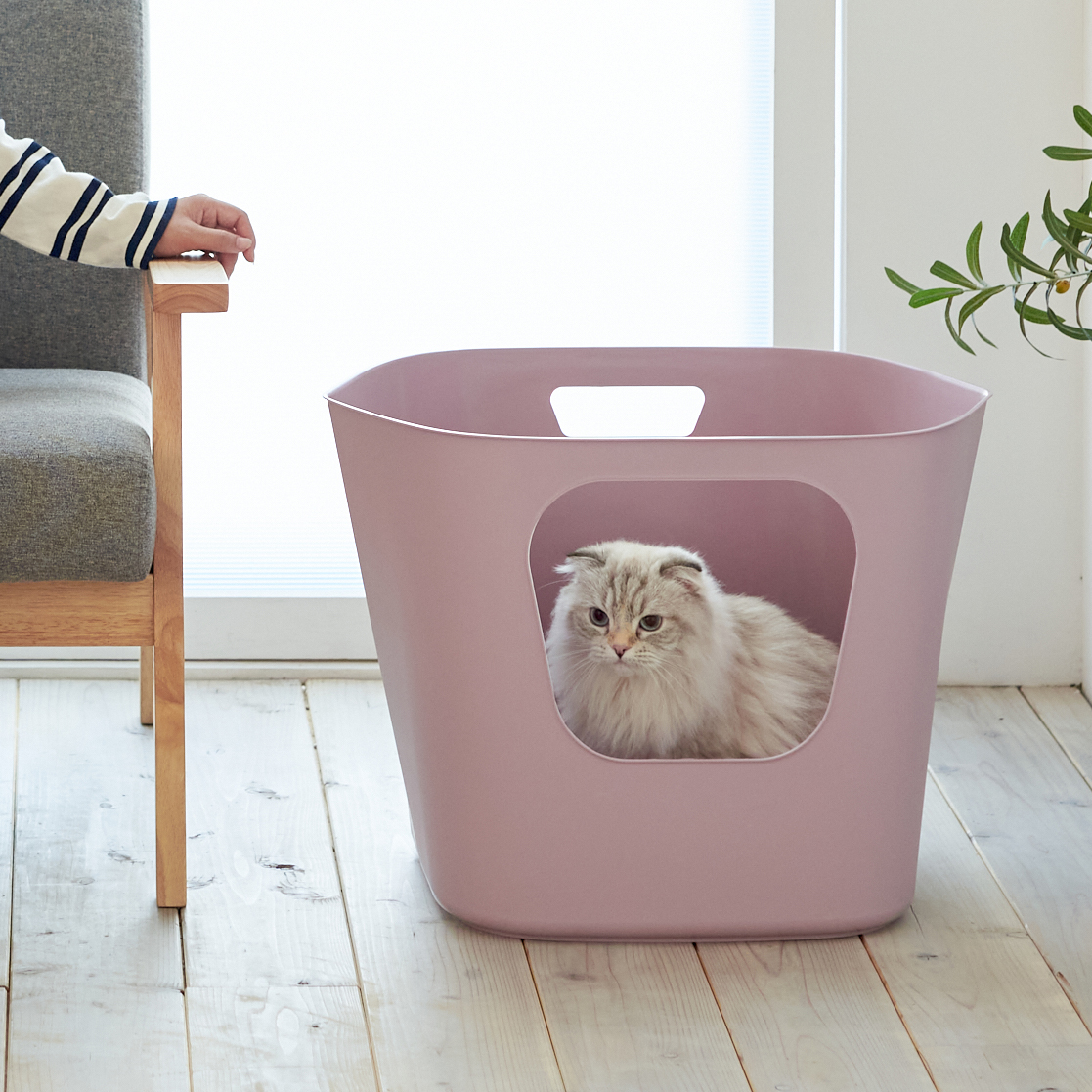 オーエフティー フレキシブルリッターボックス」の新色が発売されました。 | 株式会社