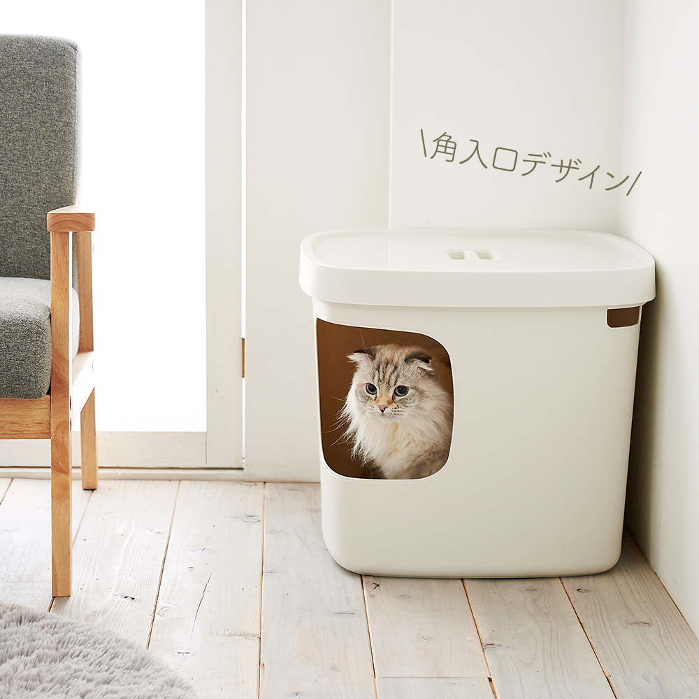 ☆子猫☆コロナ CORONA CW-FA1821 2021年製 ヨドバシ.com - コロナ CORONA リララウインドエアコン 冷房専用