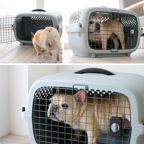 「ペットケンネル・ファーストクラス　ワイドL60」のが発売されました。