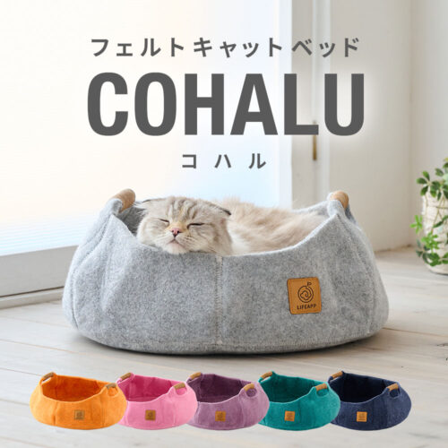 「フェルトキャットベッド COHALU」の予約販売が始まりました。