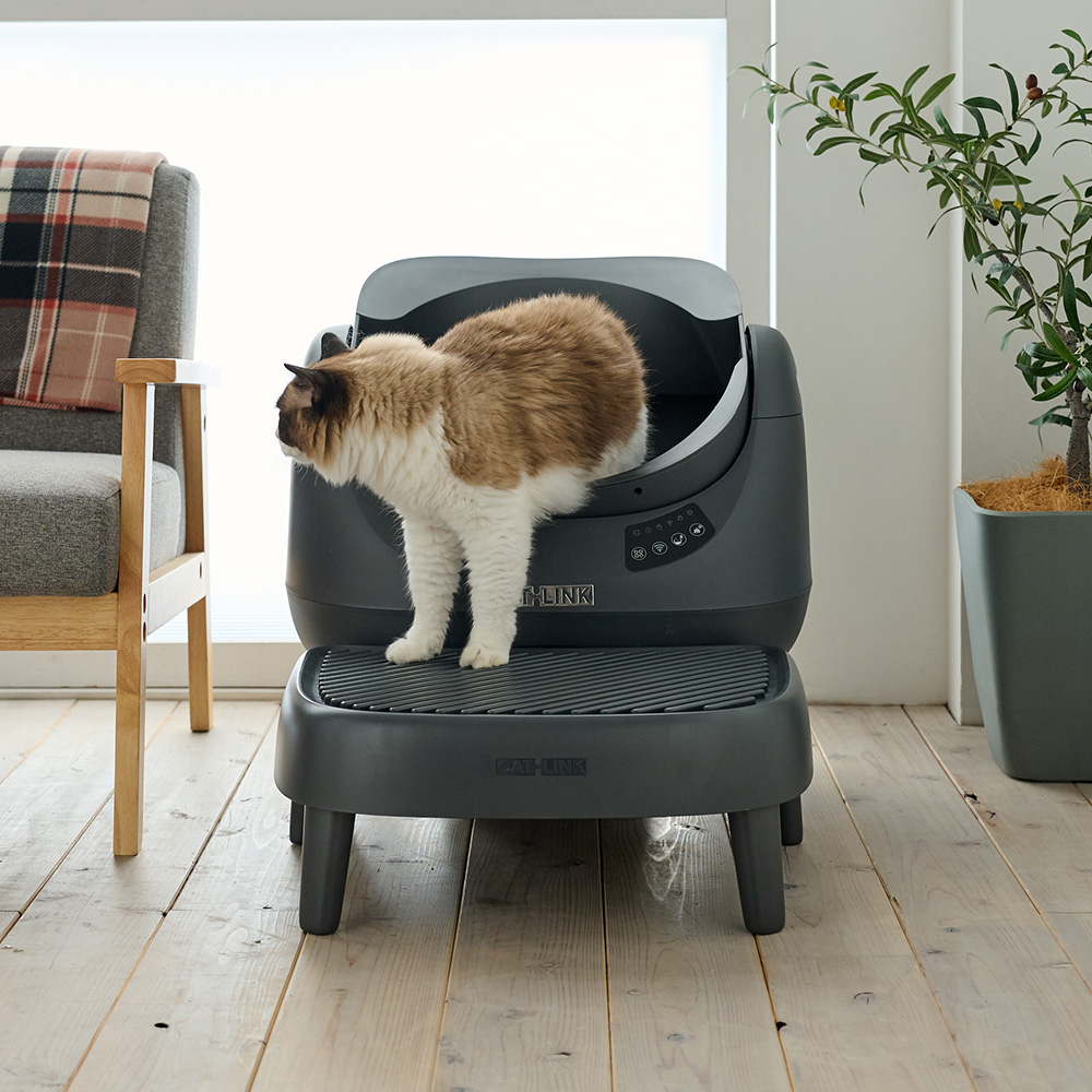 CATLINK SCOOPER OPEN-X専用ステップ」が発売されました。 | 株式会社