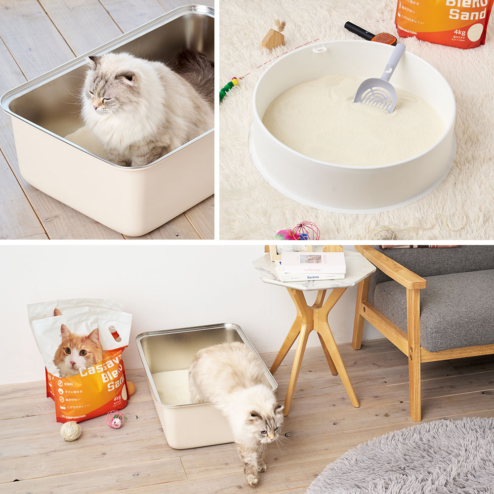 キャッサバブレンドサンド」が発売されました。 | 株式会社オーエフティー