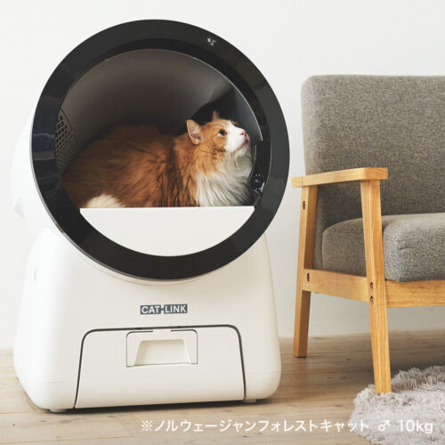 「自動猫トイレ CATLINK SCOOP ROBOT PRO 」の予約販売が始まりました。